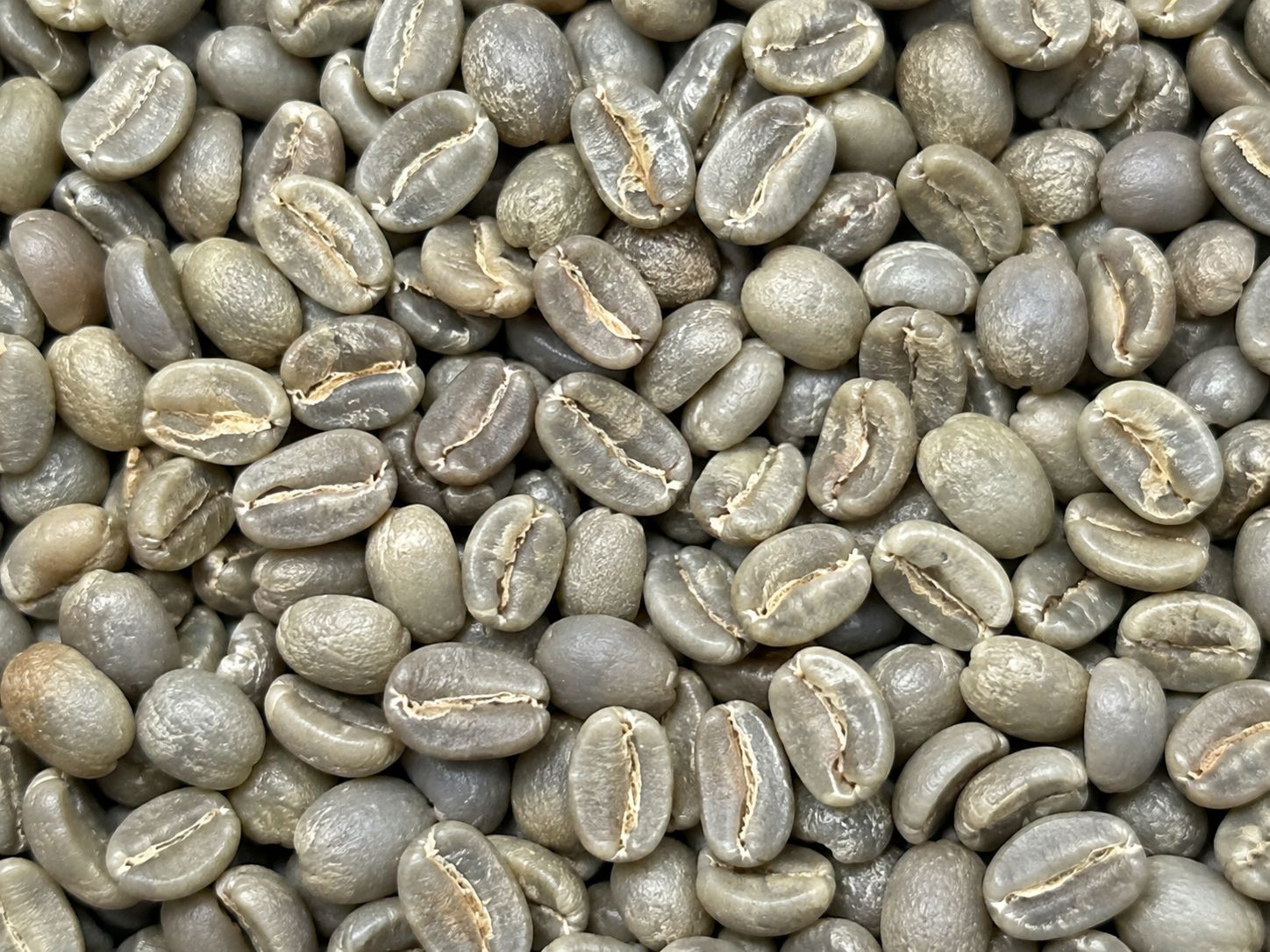 Coffee beans